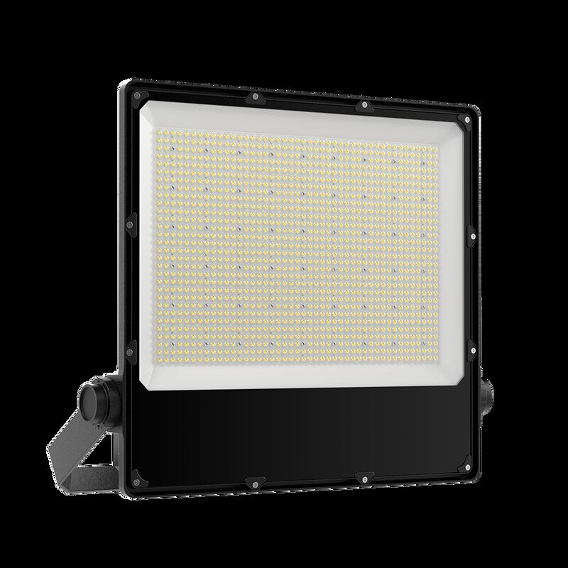 Factory IP66 Outdoor Engineering High Quality Led Floodlight 600W